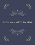 Enzim dan Metabolisme